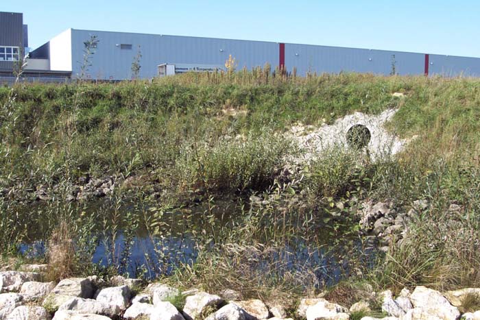 Ökolo­gische Gewässer­gestaltung / Renatu­rierung Stadt Geisenfeld